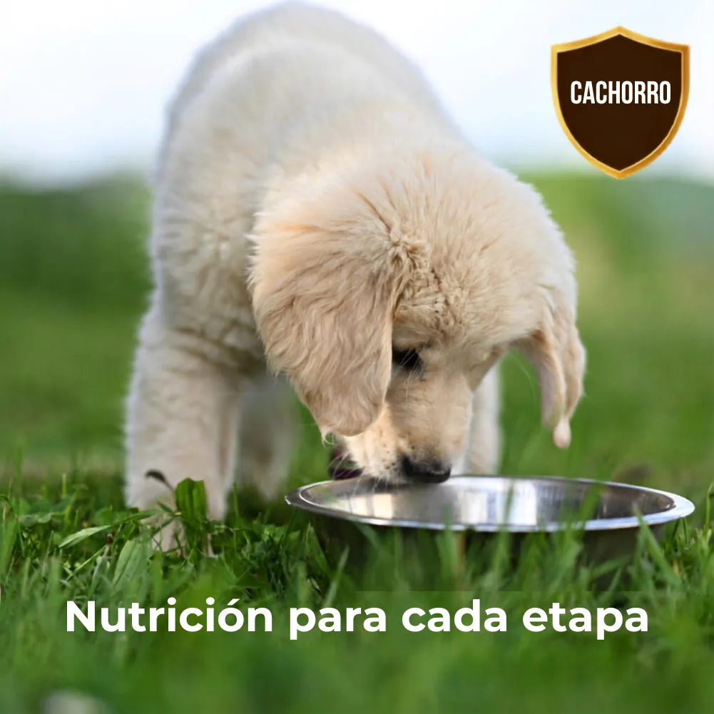Nomade Cachorro 10kg