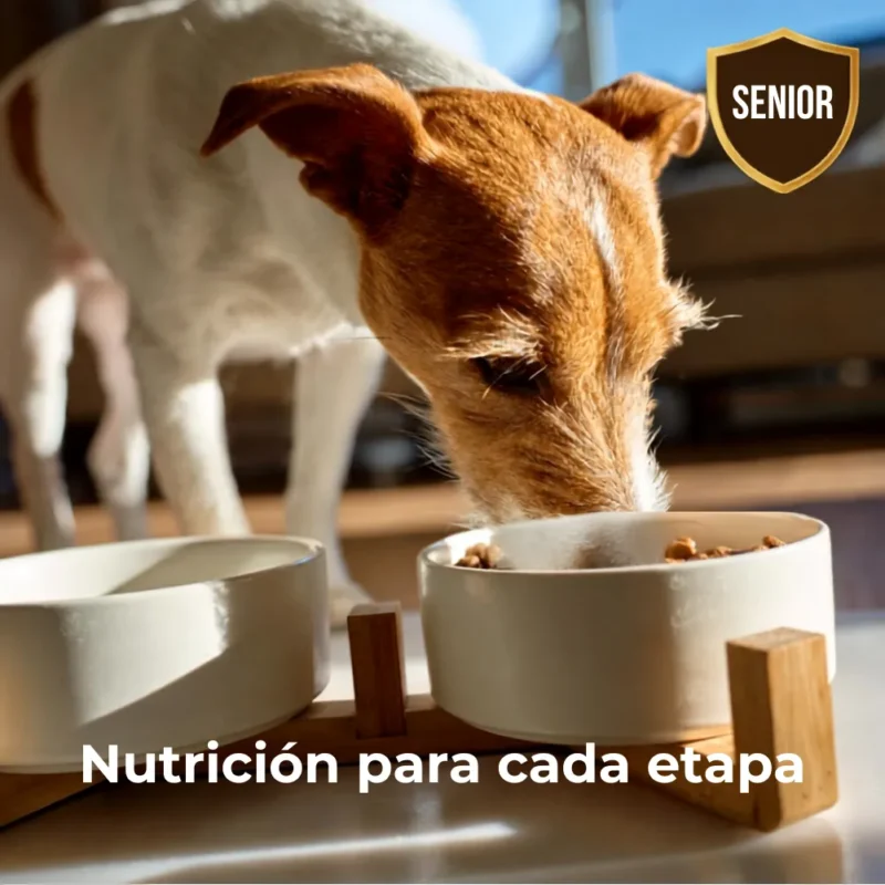 Fit Formula Perro Senior 20kg
