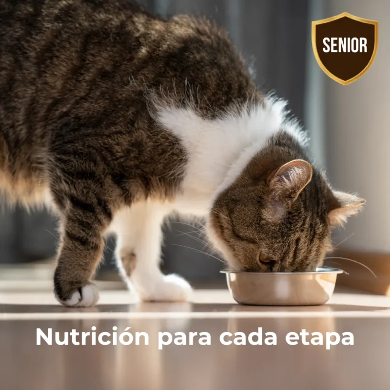 Acana Gato Senior Entree 4.5 KG