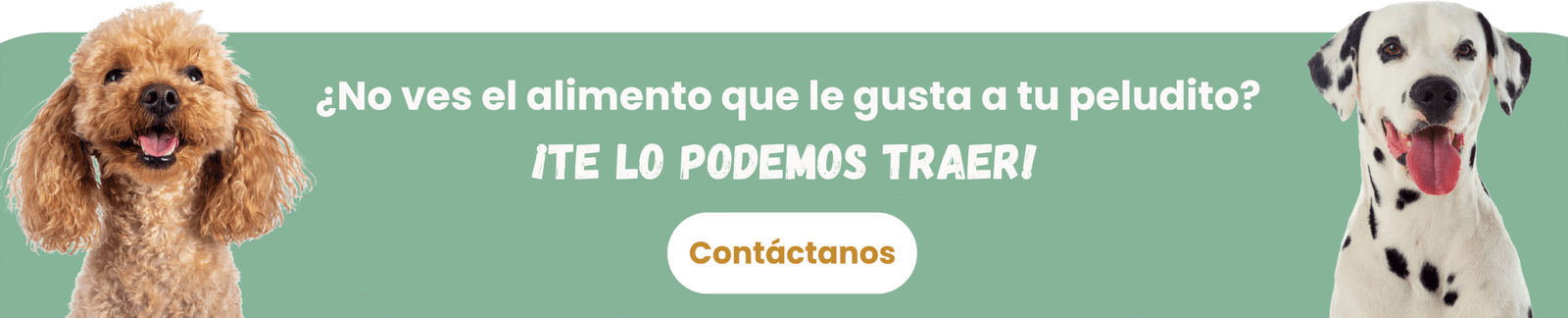 Inicio