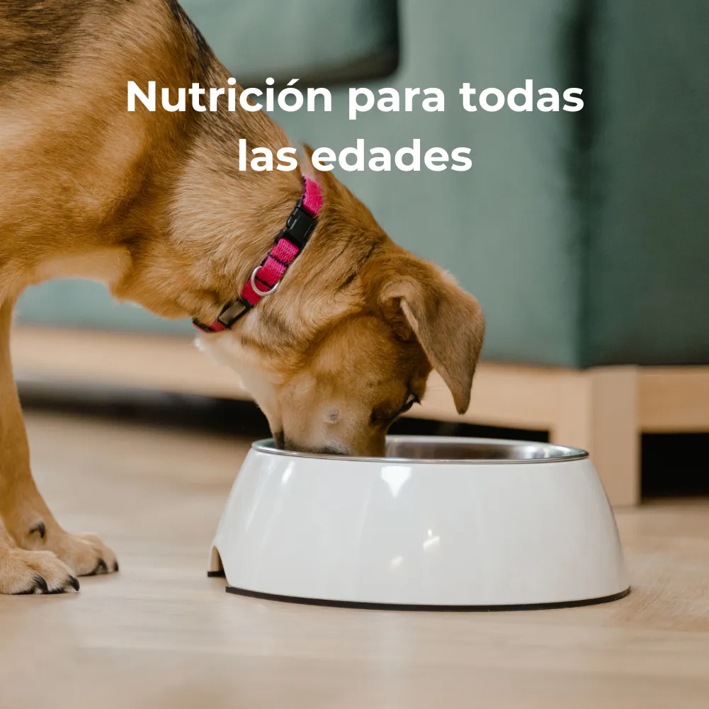 Acana Perro Classics Wild Coast 9.7 kg