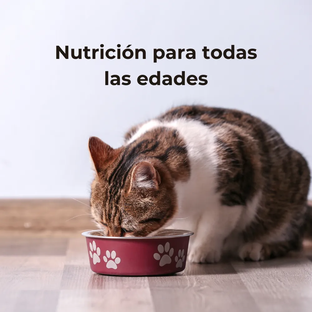 Acana Gato Meadowlands 4.5kg