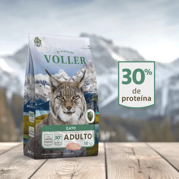 Voller Gato Adulto 10 kg